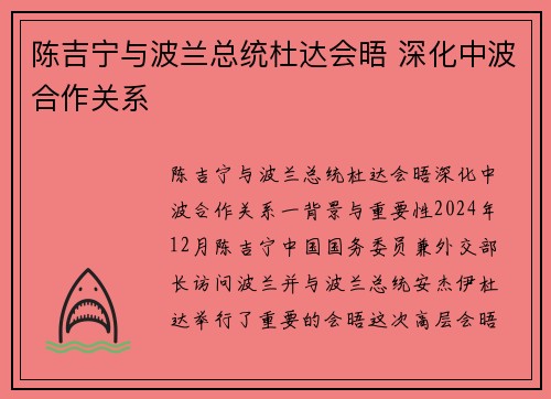 陈吉宁与波兰总统杜达会晤 深化中波合作关系