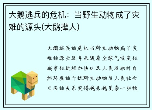 大鹅逃兵的危机：当野生动物成了灾难的源头(大鹅撵人)